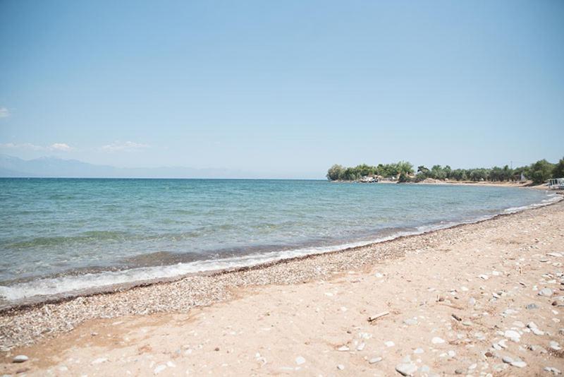 チラニNatasaアパートメント エクステリア 写真